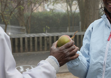 Découvrez un tout autre Mali avec Aigle Azur !