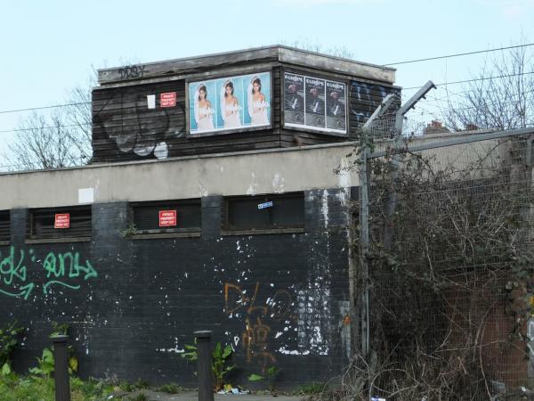 American Apparel s'universalise