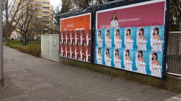 American Apparel s'universalise