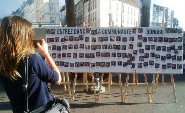 Bienvenue dans la communauté des Bonobo de France