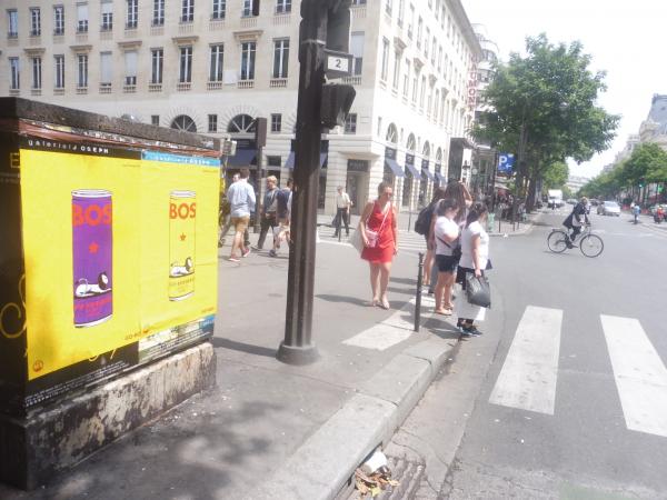 Soyez le BOS de vous même avec la nouvelle boisson équilibrée