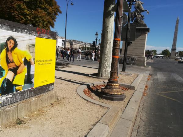 Open display for wild lingerie, by Chantal Thomass