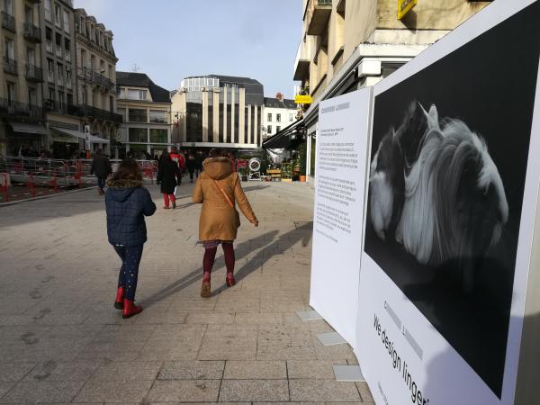 La lingerie qui surprend