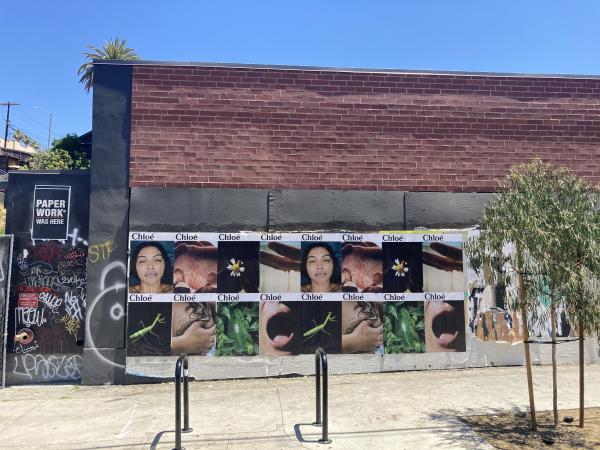 L’ode à la nature de Chloé