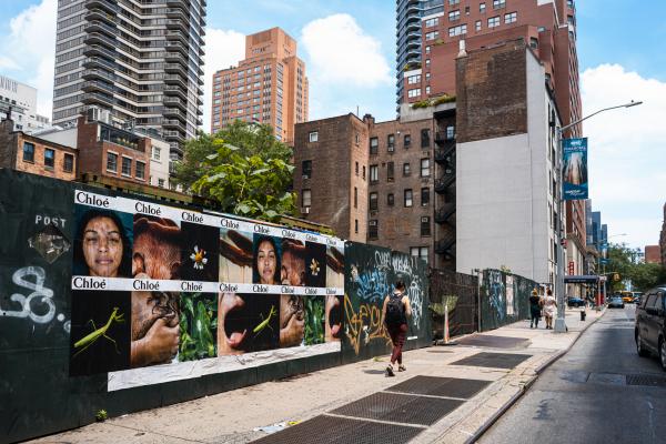 L’ode à la nature de Chloé