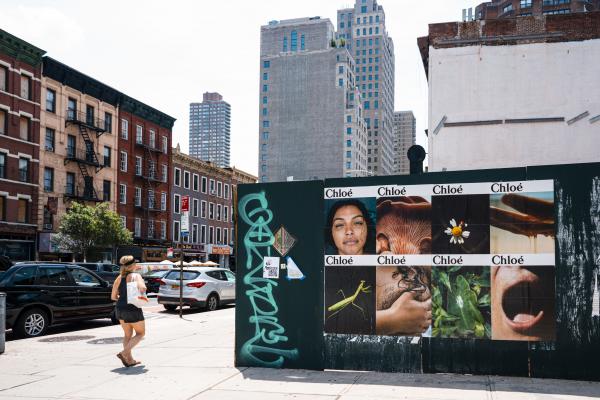 L’ode à la nature de Chloé