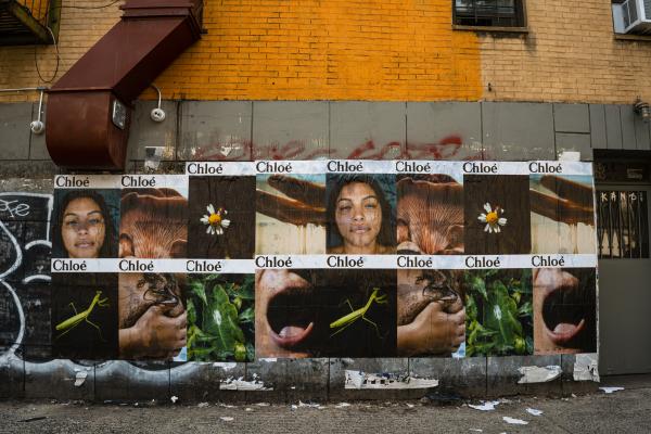 L’ode à la nature de Chloé