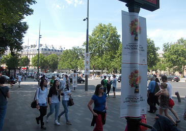 Envolez-vous dans l'air purifié de Clean Clim avec Citroën et nos ballons !