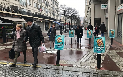 La conquête de la France à saut de Kangourou