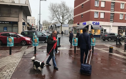 La conquête de la France à saut de Kangourou