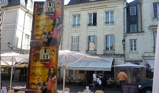 Prêt à partir en Wild ?