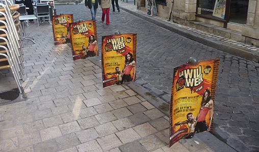 Prêt à partir en Wild ?