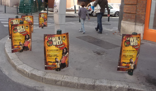 Prêt à partir en Wild ?