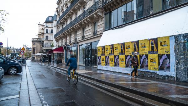 1461 : Shoe of the Summer