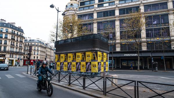 1461 : Shoe of the Summer