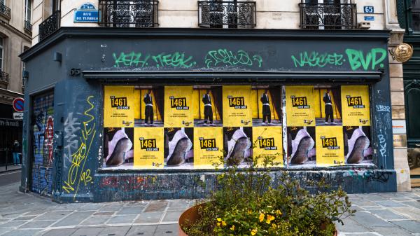 1461 : Shoe of the Summer