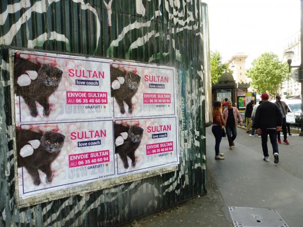 Edie & Watson, un doublon d'audace dans Paris