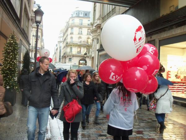 France 2 vous invite à découvrir l'Afrique Sauvage comme vous ne l'avez jamais vu