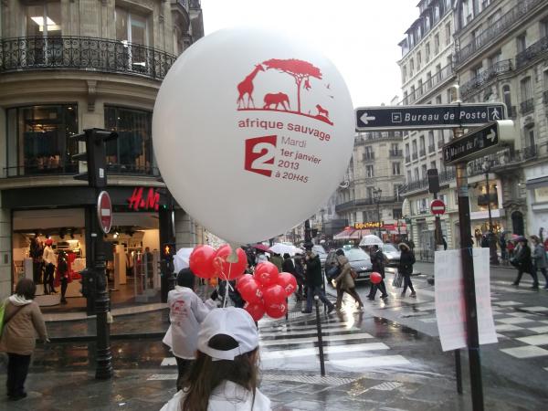 France 2 vous invite à découvrir l'Afrique Sauvage comme vous ne l'avez jamais vu