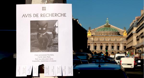 Find Purkkins and win a ticket to assist Givenchy's fashion show