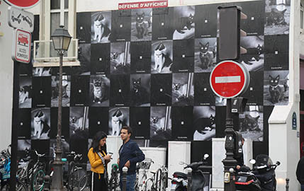 Find Purkkins and win a ticket to assist Givenchy's fashion show