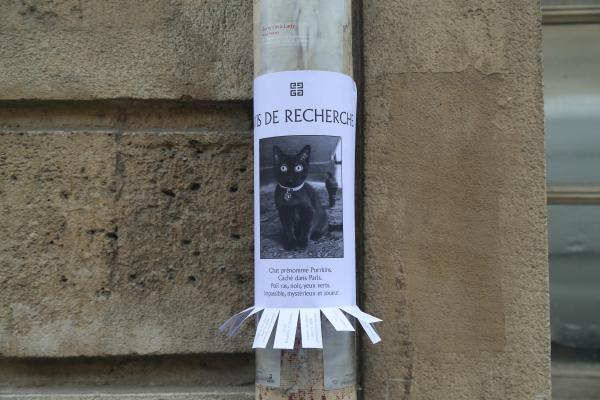 Find Purkkins and win a ticket to assist Givenchy's fashion show