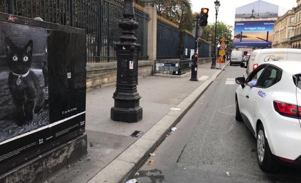 Find Purkkins and win a ticket to assist Givenchy's fashion show