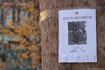 Find Purkkins and win a ticket to assist Givenchy's fashion show