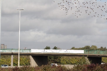 Un centre commerciale qui donne des ailes