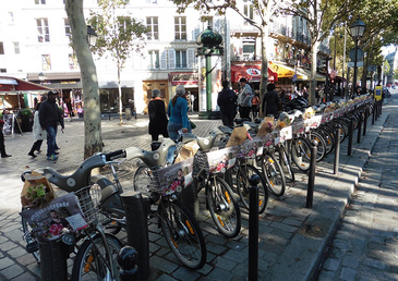 La Joie des Fleurs nous fait la cours dans la rue !