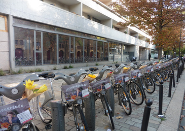 La Joie des Fleurs nous fait la cours dans la rue !