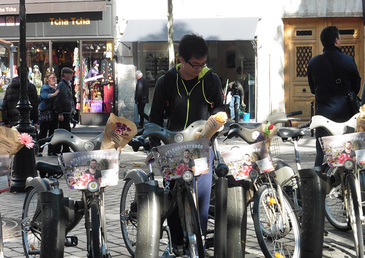 La Joie des Fleurs nous fait la cours dans la rue !