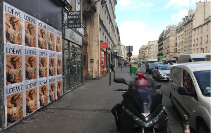 Josh O‘Connor prend la pose en compagnie de “Madame Bovary” 