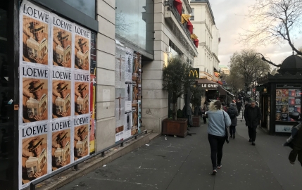 Josh O‘Connor prend la pose en compagnie de “Madame Bovary” 