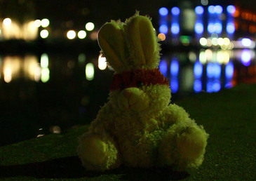 Hearstrevolution ne pose pas de lapins