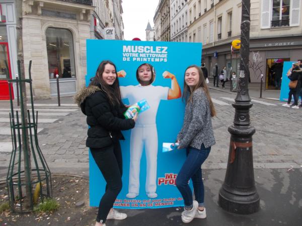 Un échantillonnage pyramidal pour Monsieur Propre