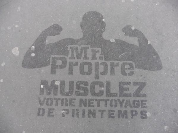 Un échantillonnage pyramidal pour Monsieur Propre