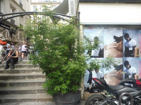 MX se présente en affichage sauvage pour sa nouvelle boutique à Paris
