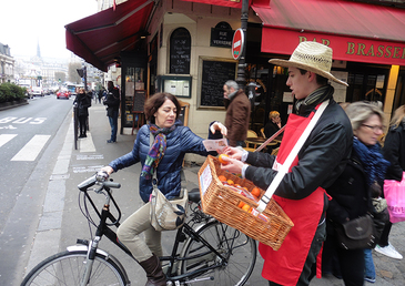 Energies renouvelables et communication propre pour Naturalia