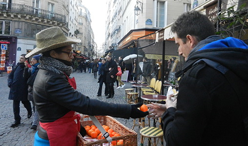 Energies renouvelables et communication propre pour Naturalia