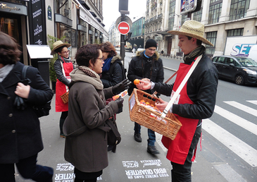 Energies renouvelables et communication propre pour Naturalia