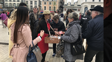 Des roller-girls Naturalia dans les rues de Clermont-Ferrand