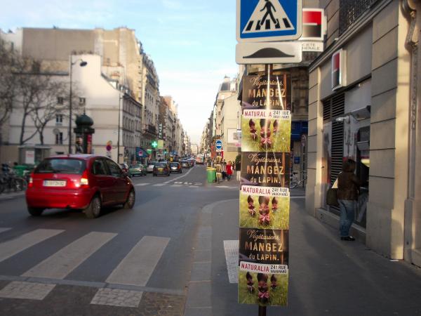 Naturalia investit Volontaire pour Pâques