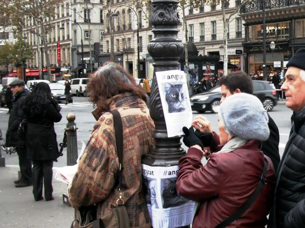 Passez au vert pour Newmanity