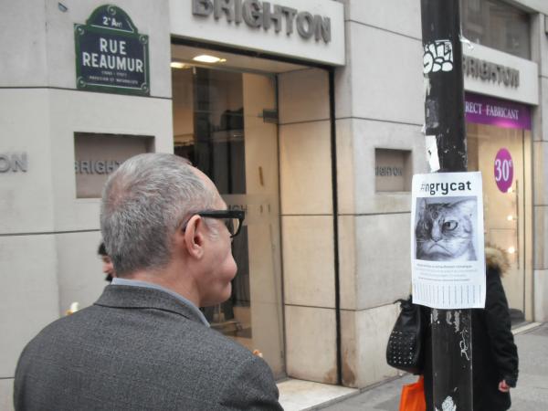 Passez au vert pour Newmanity