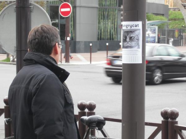 Passez au vert pour Newmanity