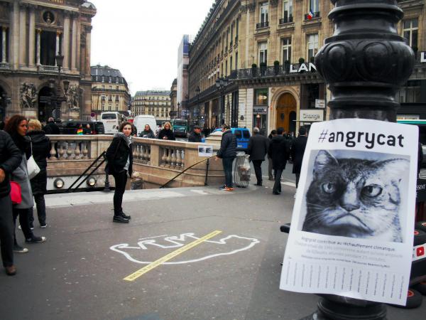 Passez au vert pour Newmanity