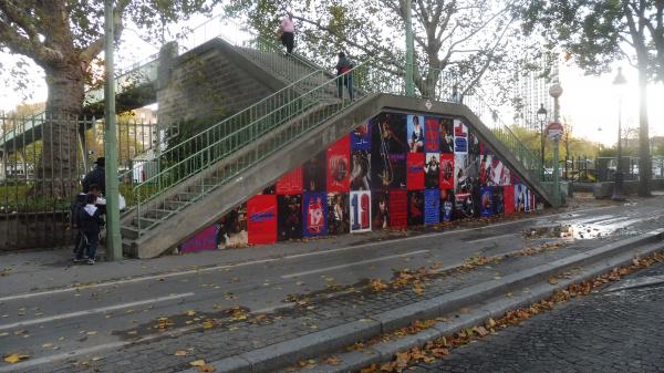 Kobe sur les toits de Paris