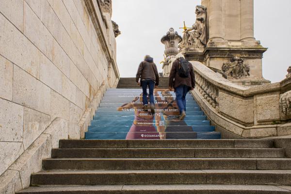 Le sport en perspective