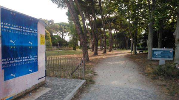 Puma fait briller les étoiles de Montpellier Handball !